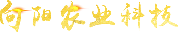工業(yè)傳動(dòng)系統(tǒng)